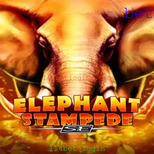 Tudo Sobre ElephantStampedeSE: Um Guia Completo